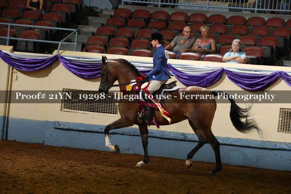Proof 21YN_19298