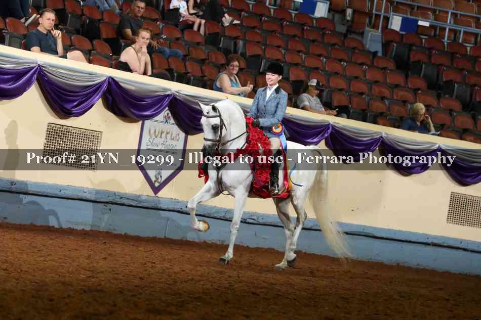 Proof 21YN_19299