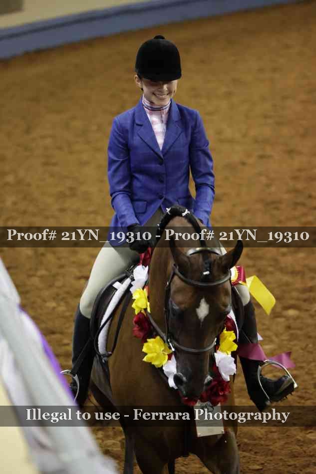 Proof 21YN_19310