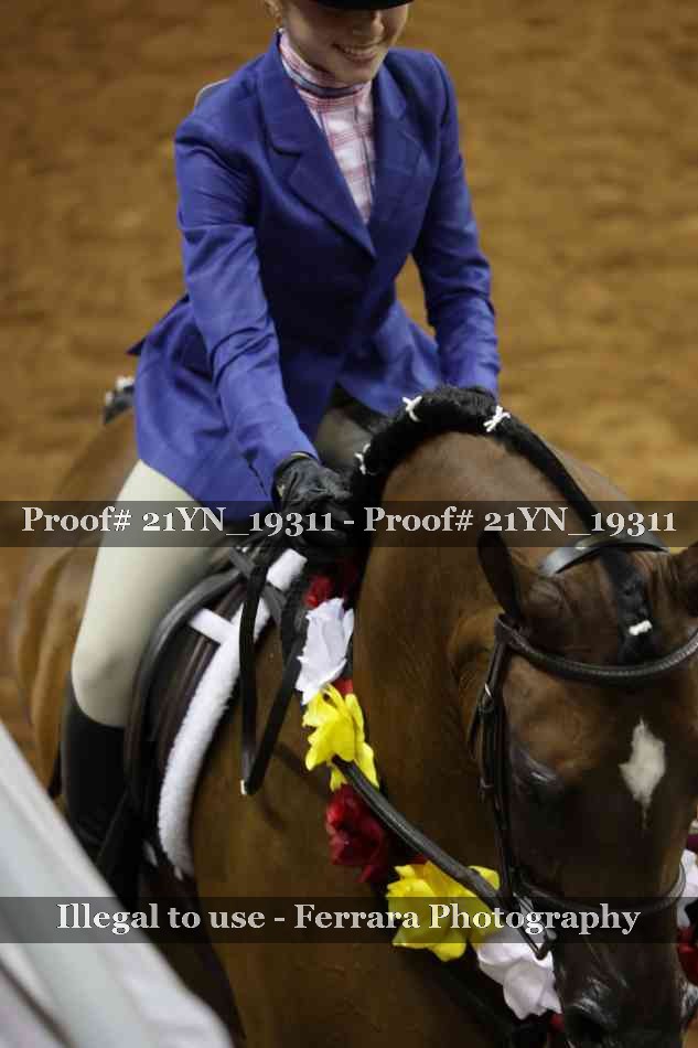 Proof 21YN_19311
