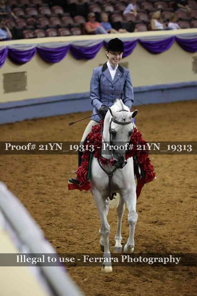 Proof 21YN_19313