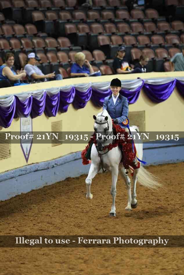 Proof 21YN_19315