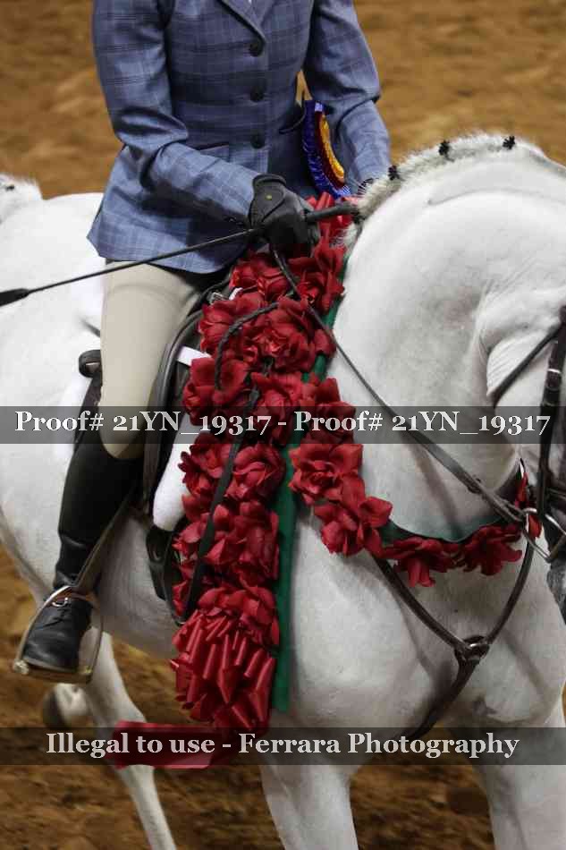 Proof 21YN_19317