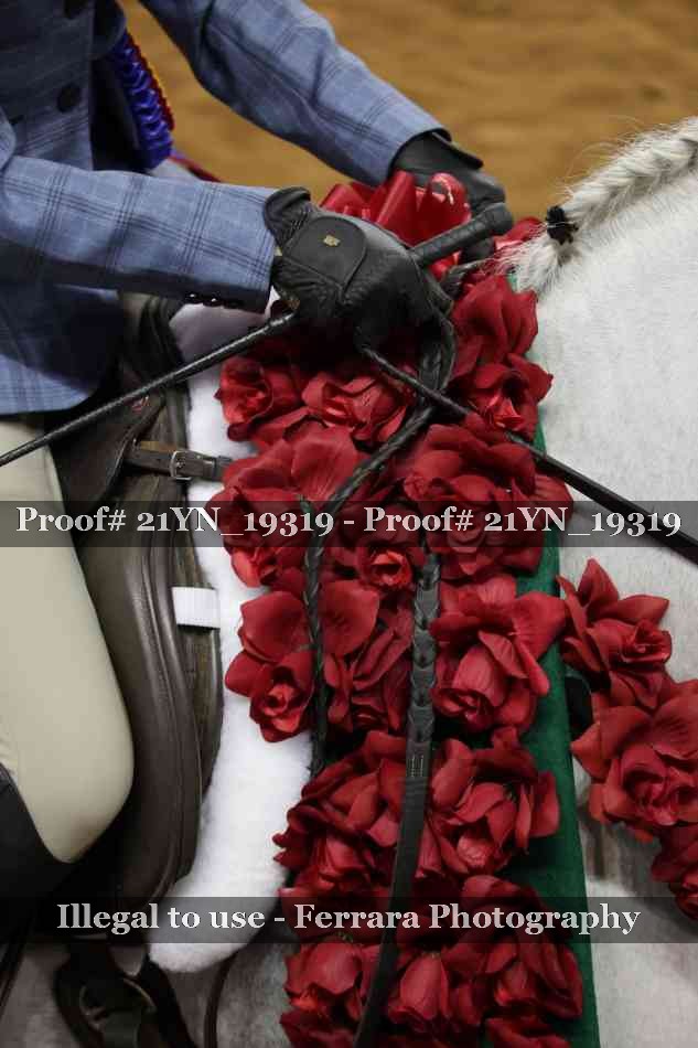 Proof 21YN_19319