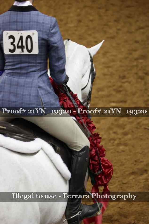 Proof 21YN_19320