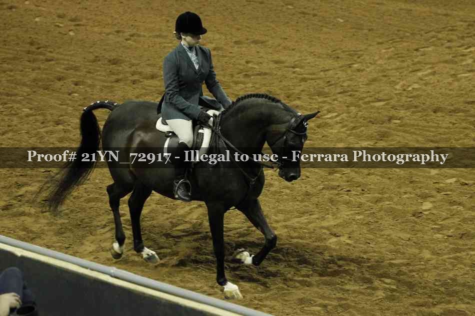 Proof 21YN_72917
