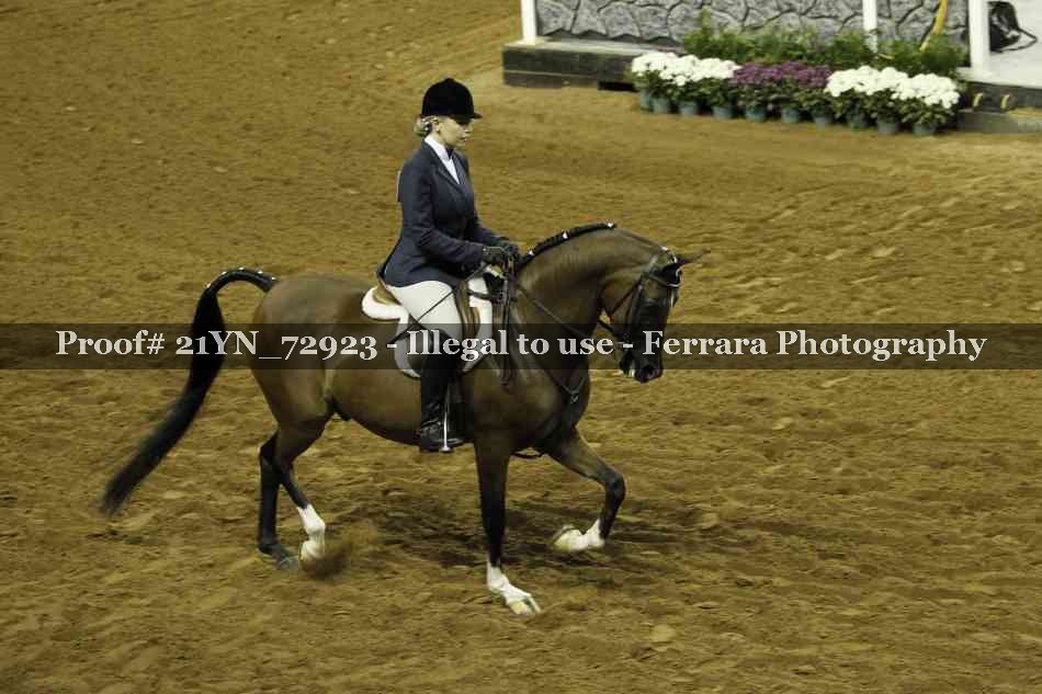 Proof 21YN_72923