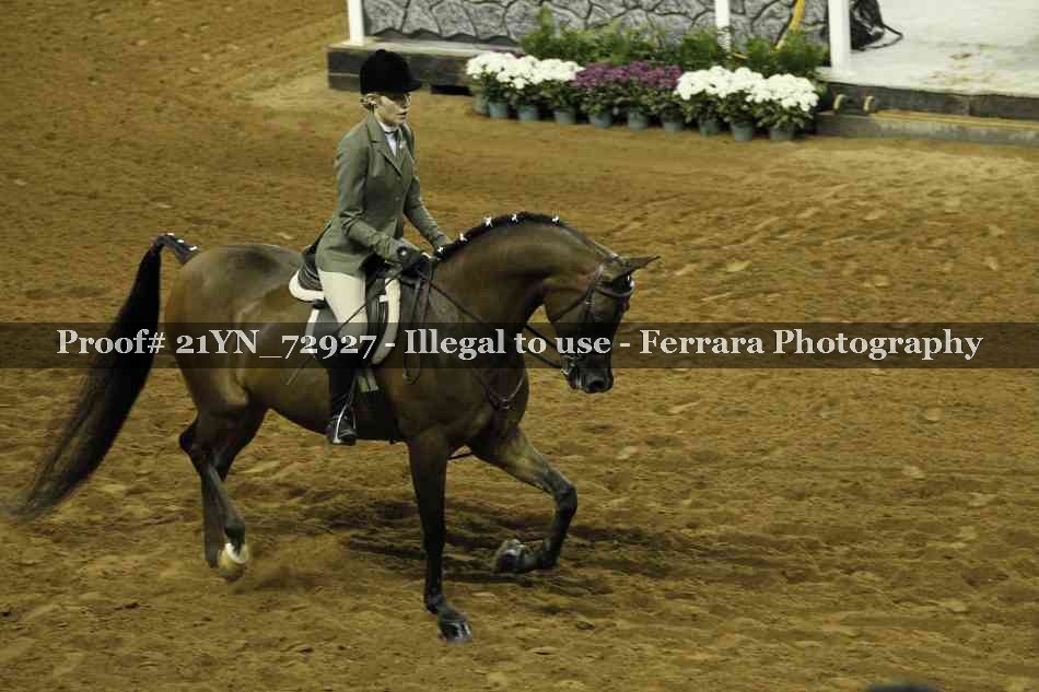 Proof 21YN_72927