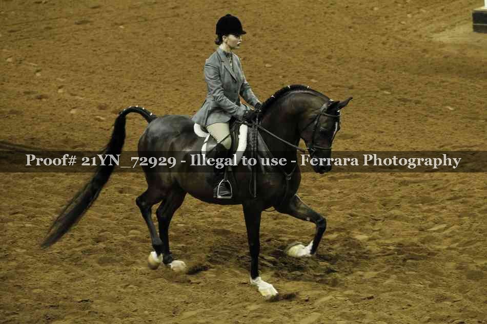 Proof 21YN_72929