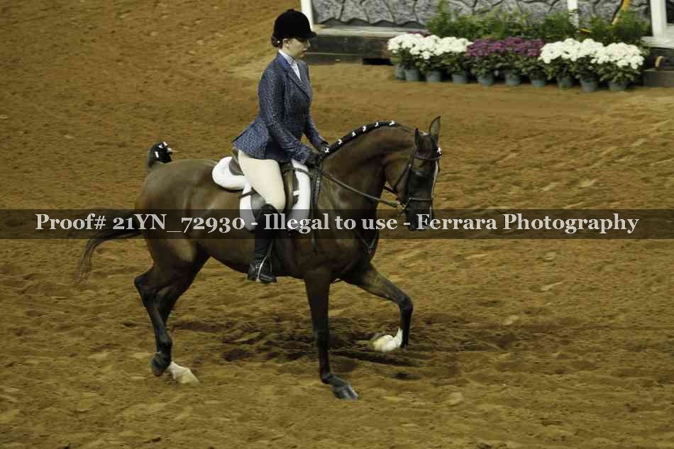 Proof 21YN_72930