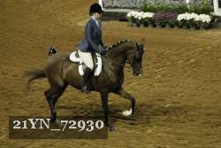 21YN_72930 proof