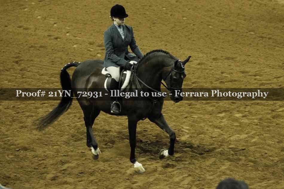 Proof 21YN_72931