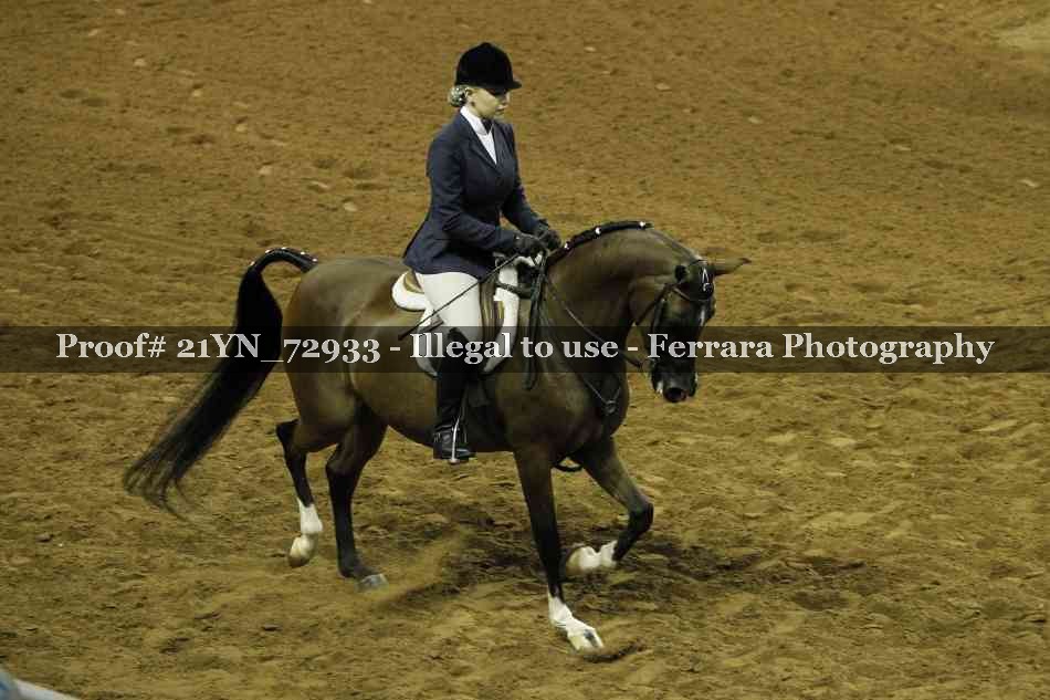 Proof 21YN_72933