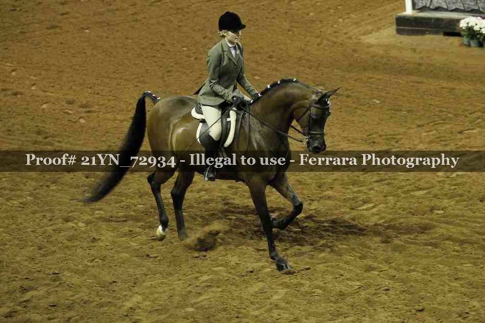Proof 21YN_72934