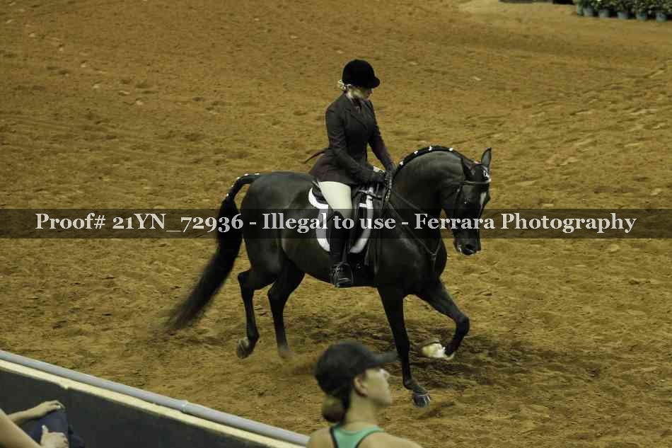 Proof 21YN_72936