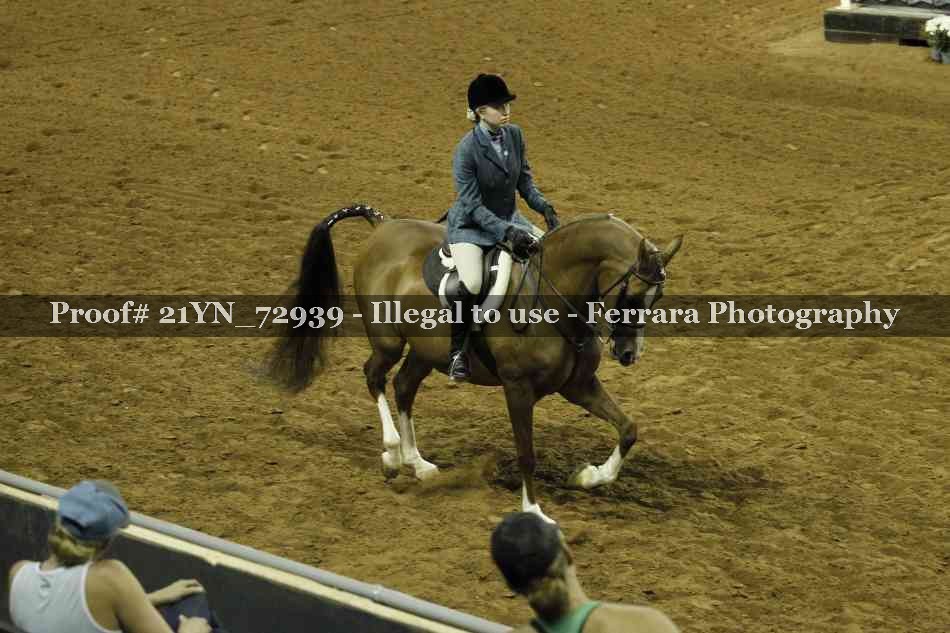 Proof 21YN_72939