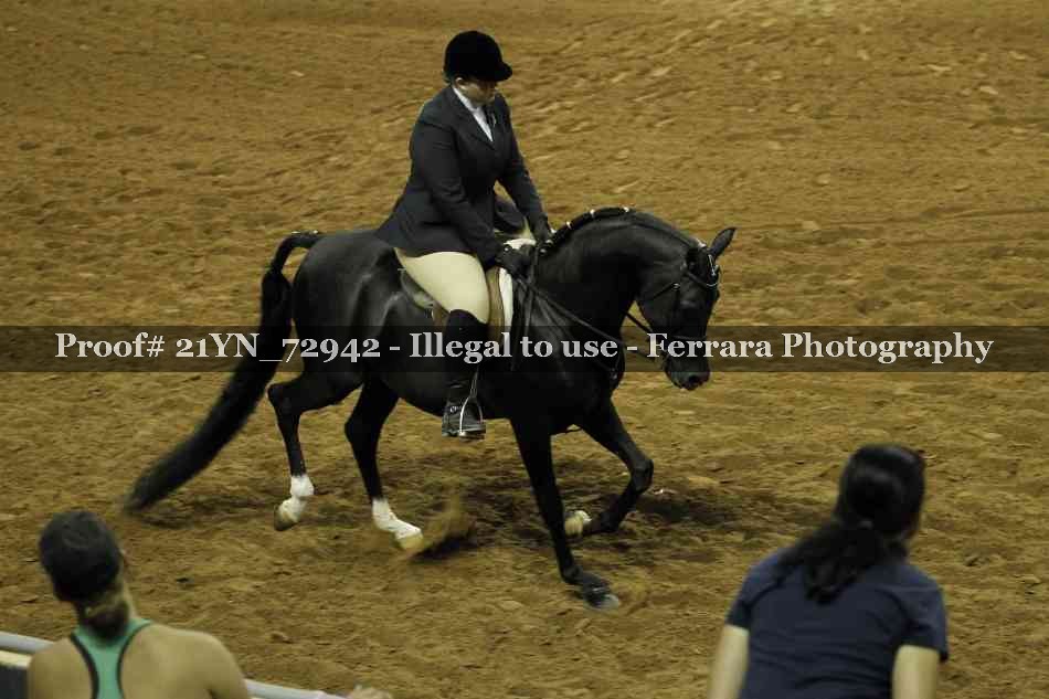 Proof 21YN_72942