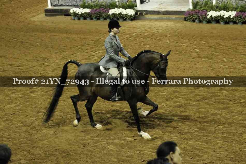 Proof 21YN_72943