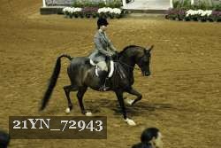 21YN_72943 proof
