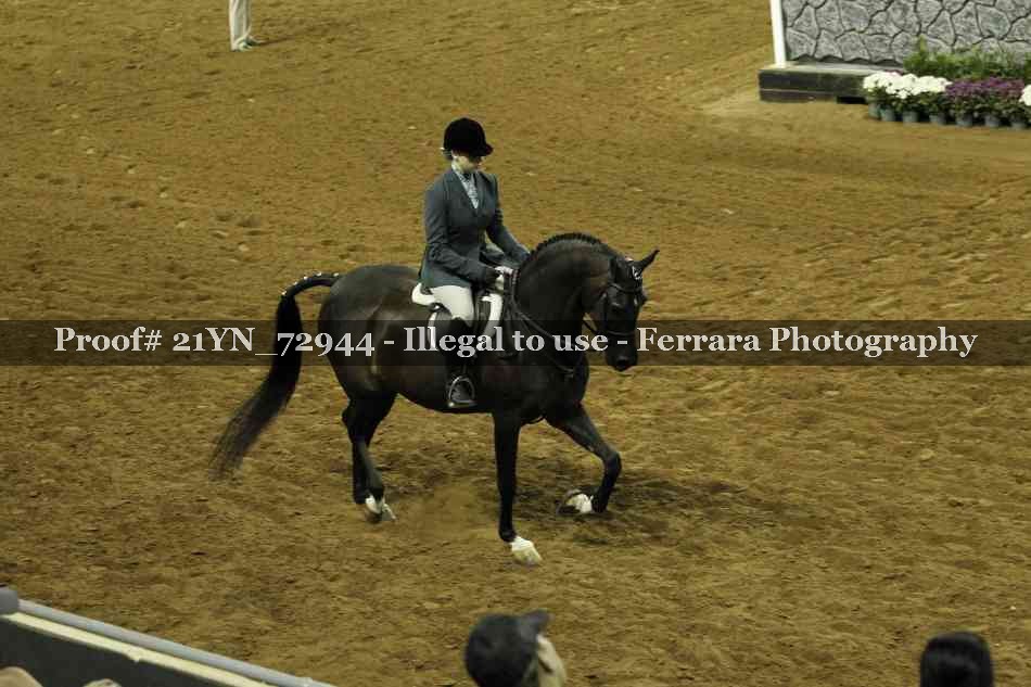 Proof 21YN_72944