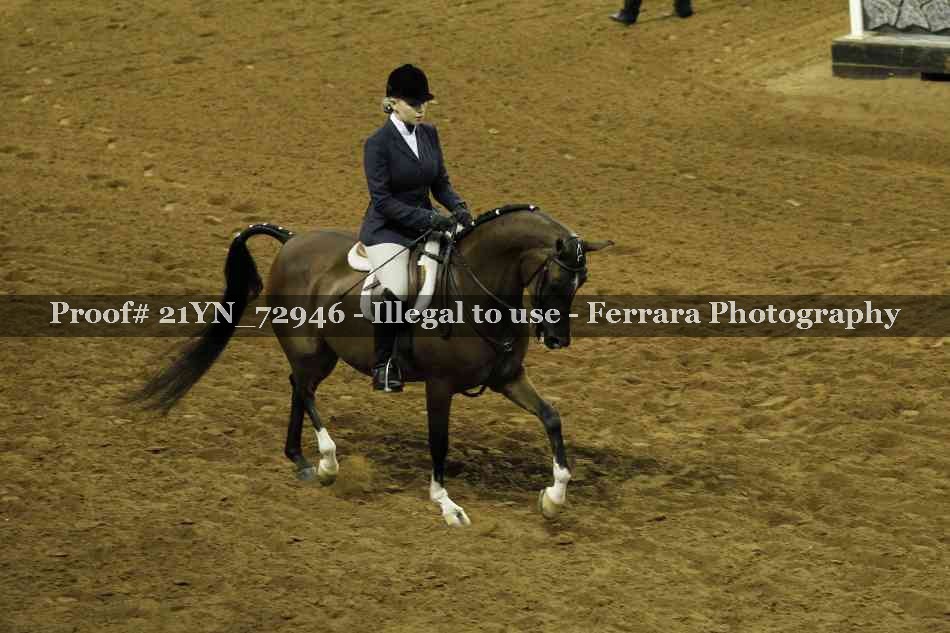 Proof 21YN_72946