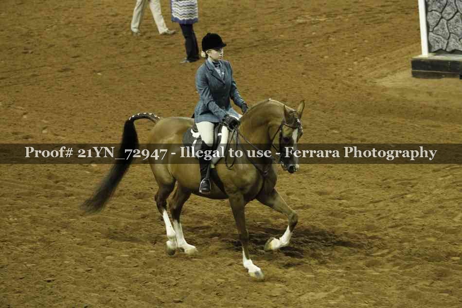 Proof 21YN_72947