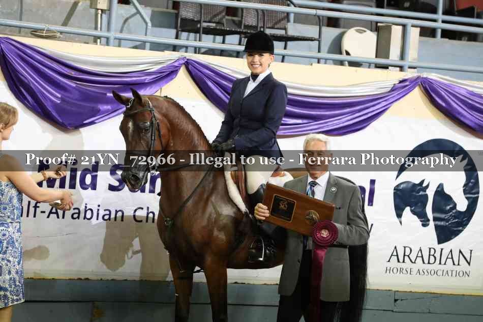 Proof 21YN_72966