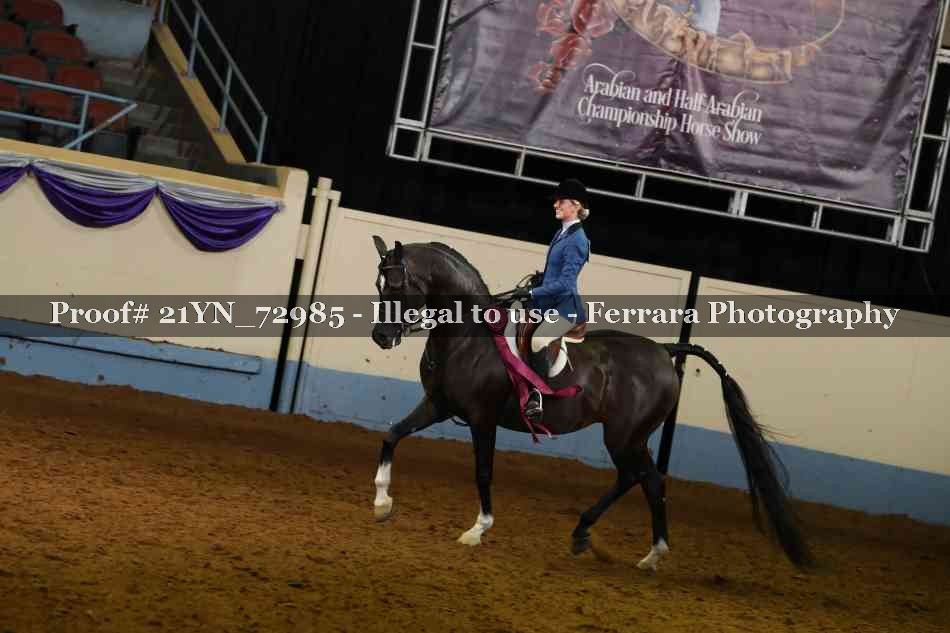 Proof 21YN_72985