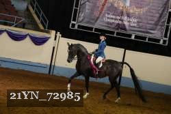 21YN_72985 proof