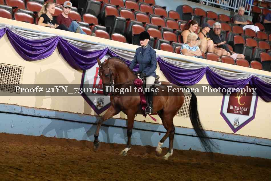 Proof 21YN_73019