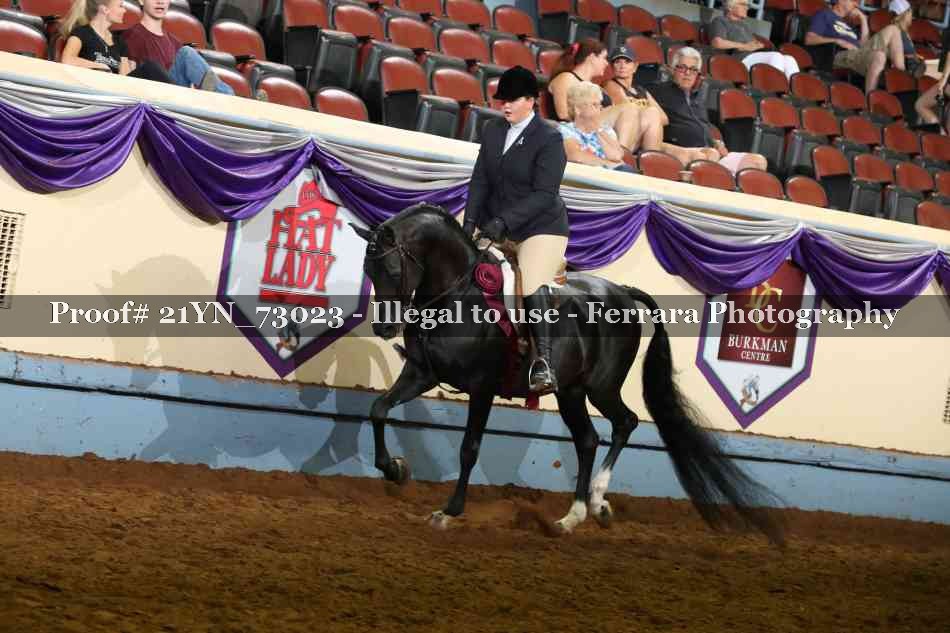 Proof 21YN_73023