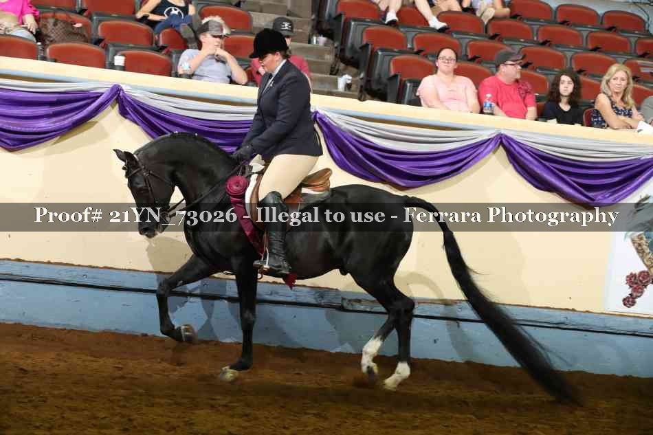 Proof 21YN_73026