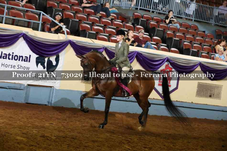 Proof 21YN_73029