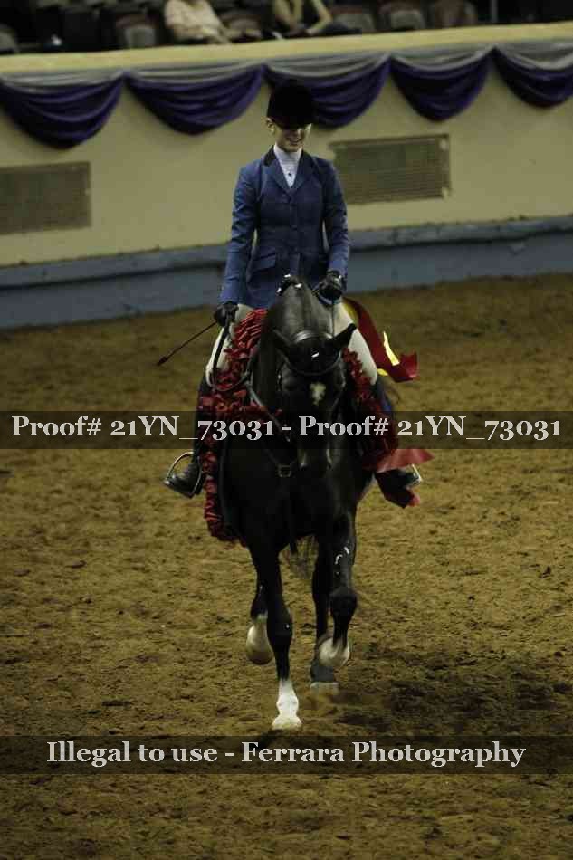 Proof 21YN_73031
