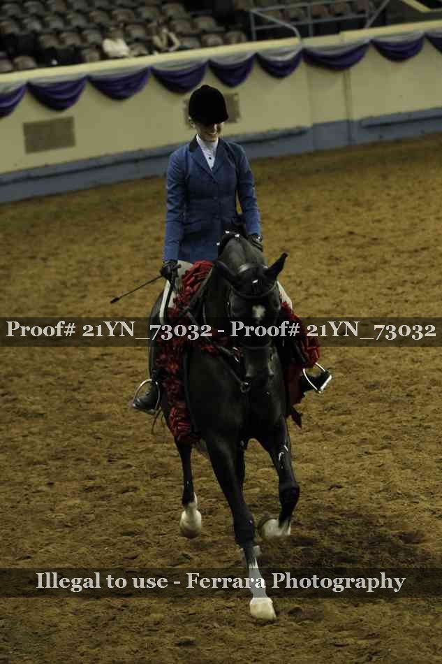 Proof 21YN_73032