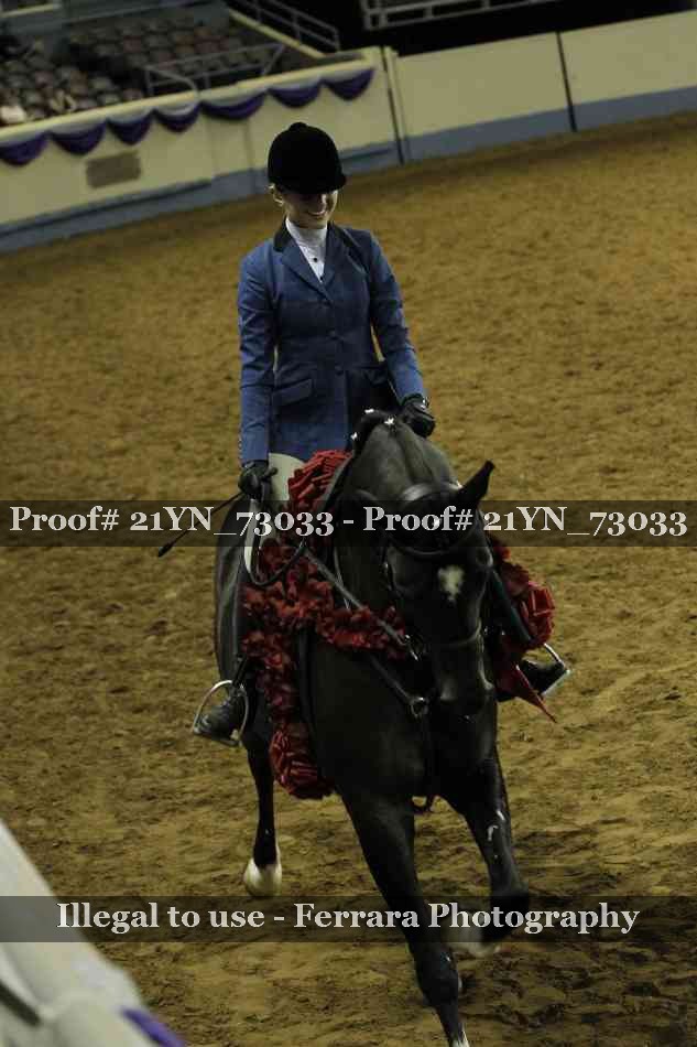 Proof 21YN_73033