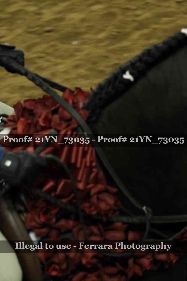 Proof 21YN_73035