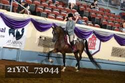 21YN_73044 proof
