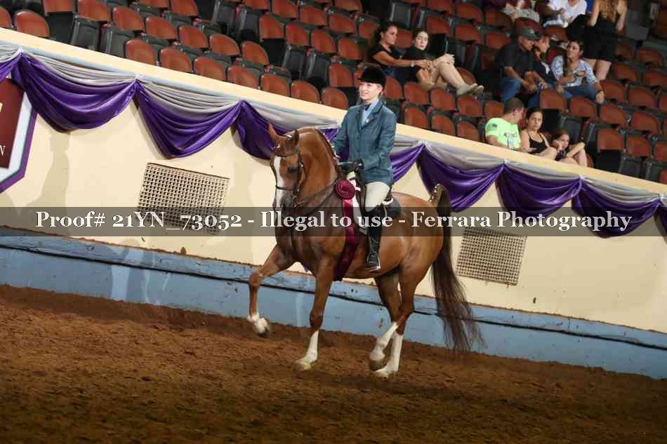 Proof 21YN_73052