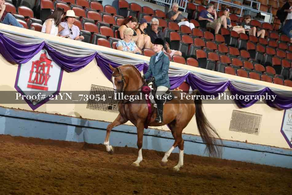 Proof 21YN_73054