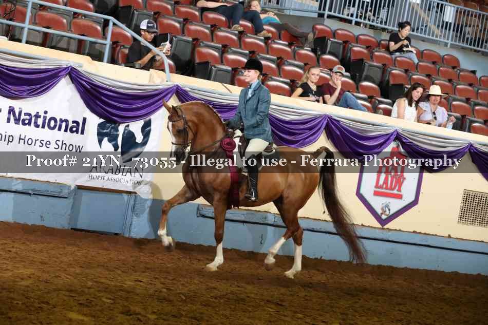 Proof 21YN_73055