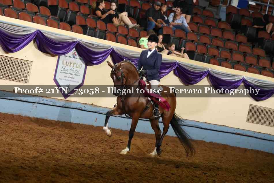 Proof 21YN_73058
