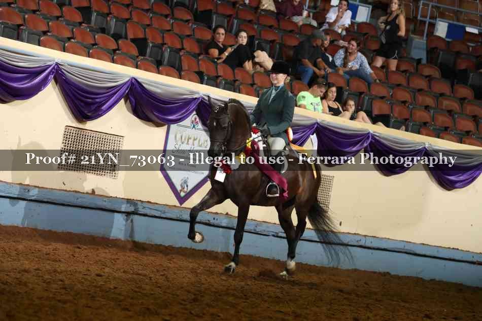Proof 21YN_73063