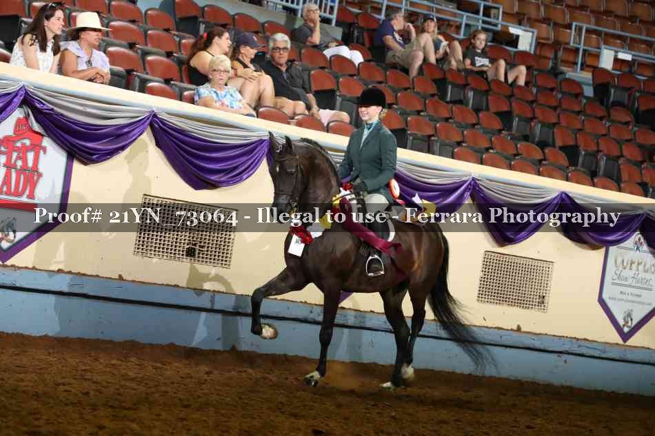 Proof 21YN_73064