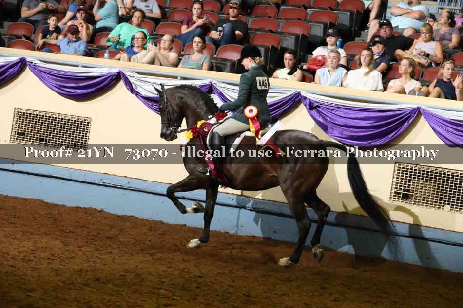 Proof 21YN_73070
