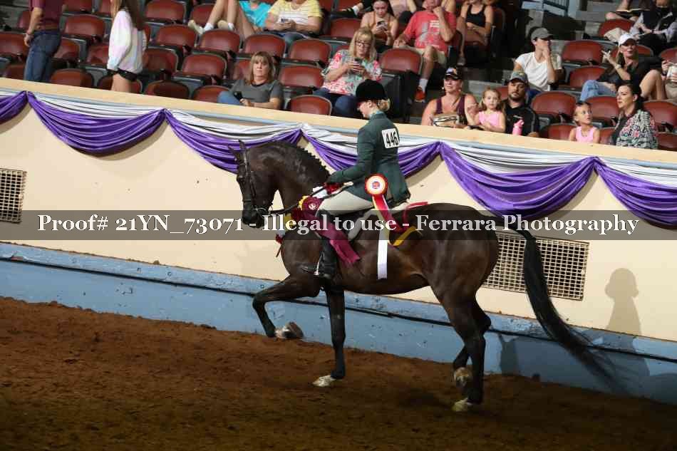 Proof 21YN_73071