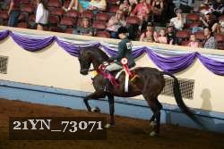 21YN_73071 proof