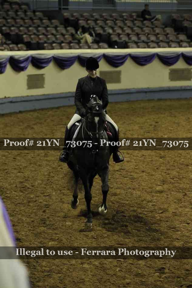 Proof 21YN_73075
