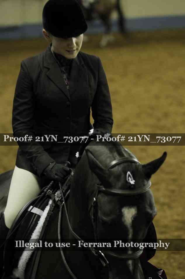 Proof 21YN_73077
