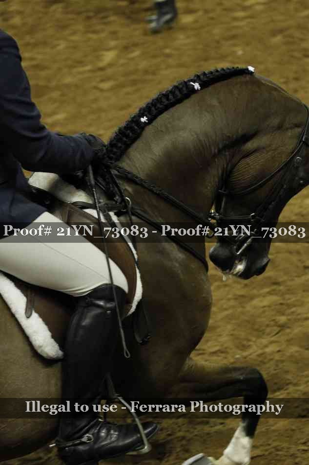 Proof 21YN_73083